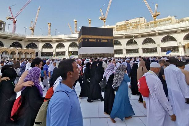 6077e0cc42360448a540a84a