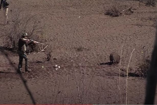 61e8f1f14c59b76c7d3e7bbf