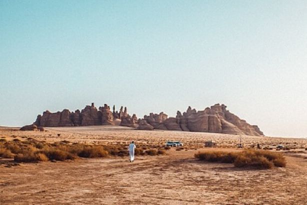 61d4782a423604550f3cf904