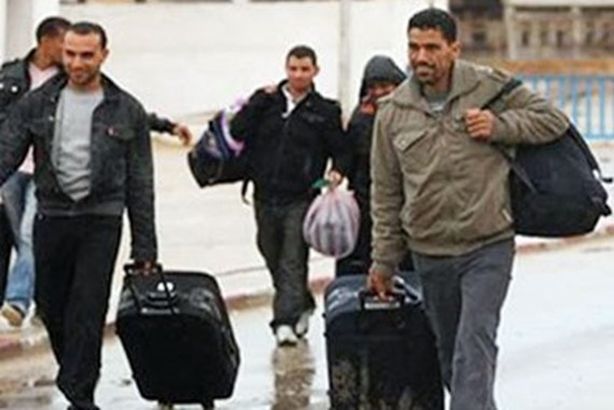 Egyptian-labor-in-Jordan1724