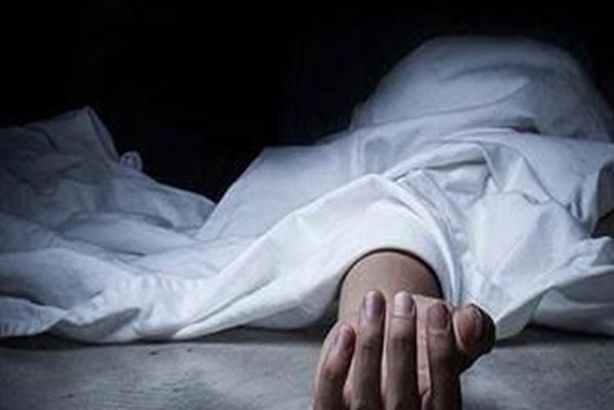 181340Image1-1180x677_d