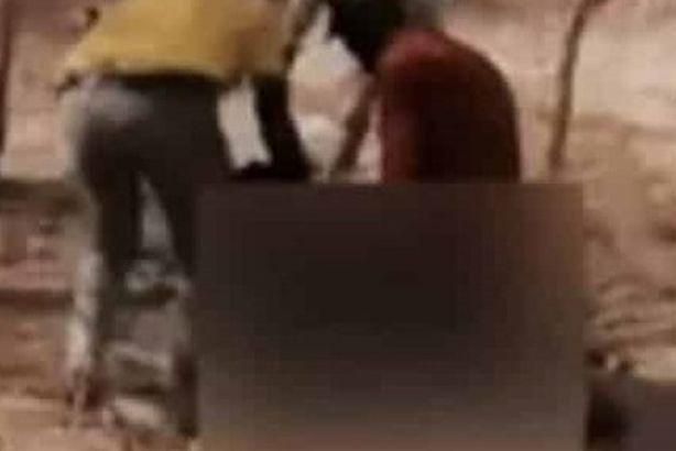 emarat-news_2021-05-15_10-04-26_763271