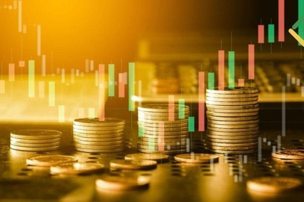 Screenshot_20250124_135227