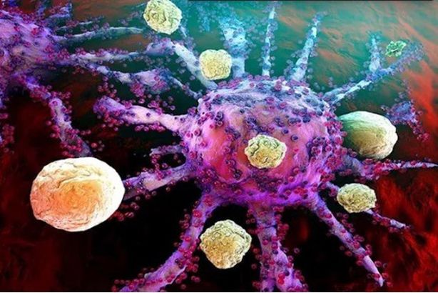 Screenshot 2026-01-10 153912