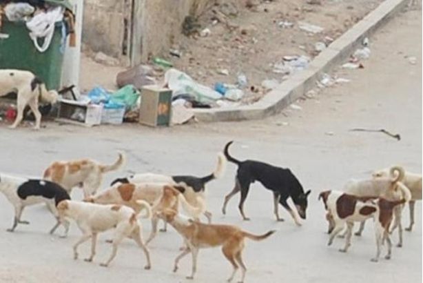 19_2019-636837946161521452-152