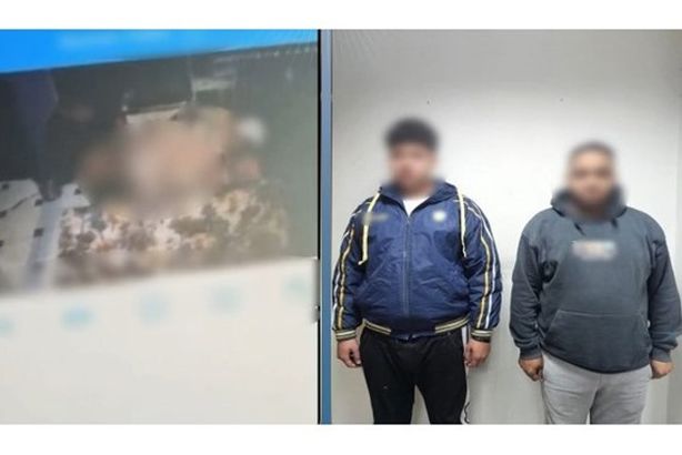 752104673800620260118120041041