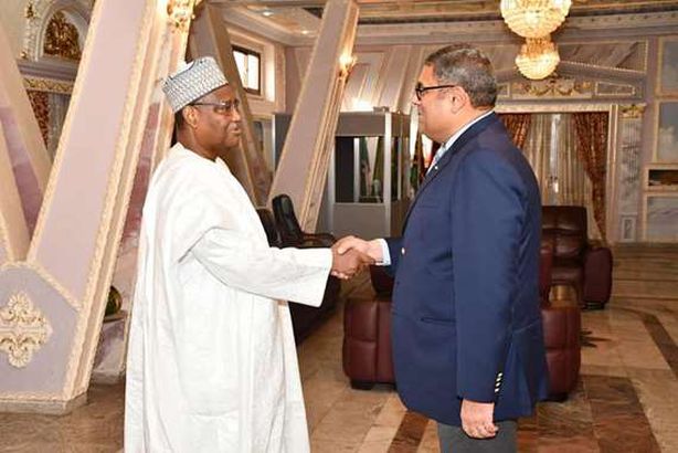 مساعد وزير الخارجية للشئون الأفريقية