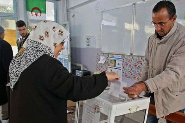 انتخابات الجزائر