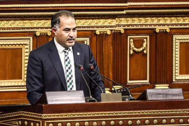 سليمان وهدان وكيل مجلس النواب