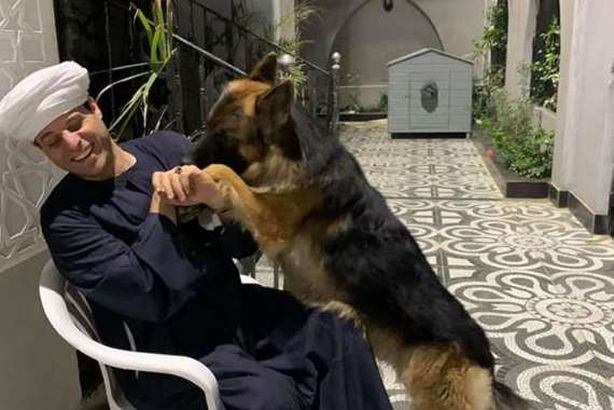 ياسين التهامي