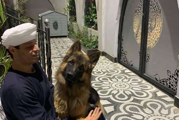 الشيخ محمود التهامي