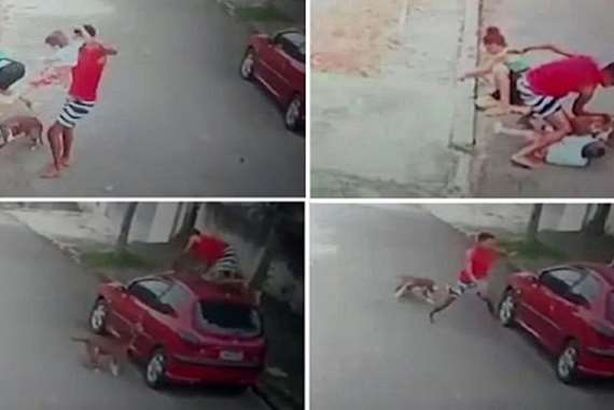 شاب ينقذ رقبة طفل من بين أنياب كلب

