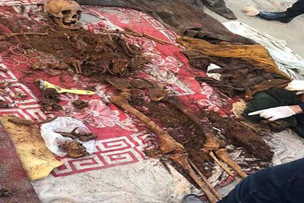 الهياكل العظمية الإسكندرية

