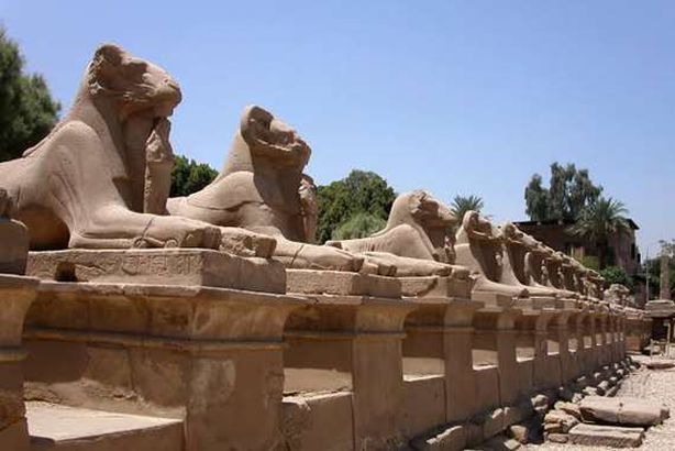 طريق الكباش