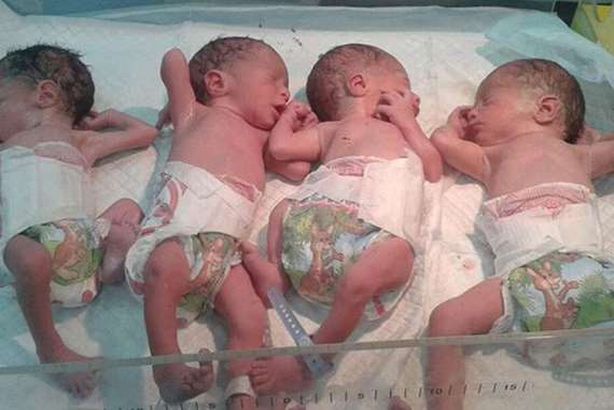 أربعة توائم