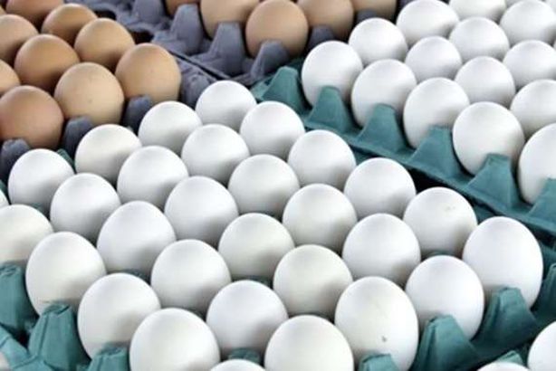 كرتونة البيض