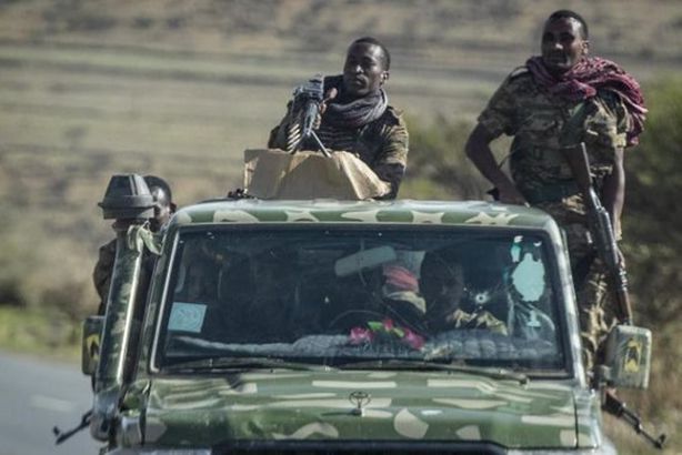 Ethiopia_Tigray_Crisis_49352--57ca9_0