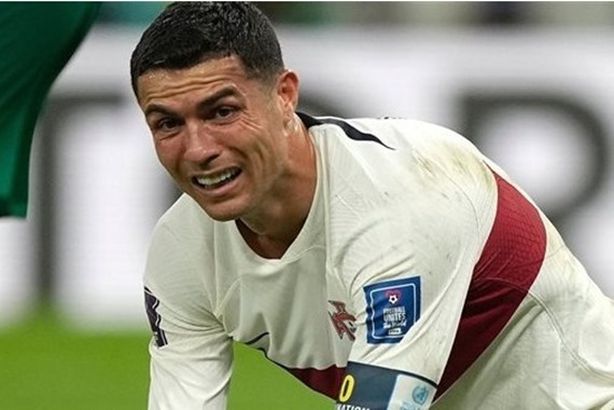 czo2NjoiaHR0cHM6Ly93d3cuZWxmYWdyLm9yZy9VcGxvYWRDYWNoZS9saWJmaWxlcy80ODkvNi82MDB4MzM4by84NjQuanBnIjs=