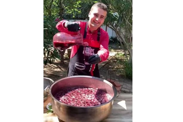 11c075ec-8373-4c45-b810-f9a39d4b9e4e