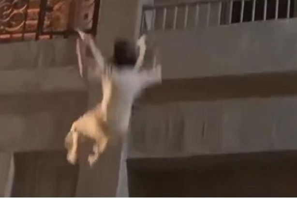 198-020148-scary-video-egyptian-artist-falling_700x400
