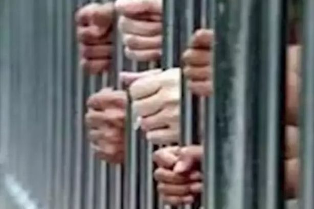 Screenshot 2024-11-23 094428