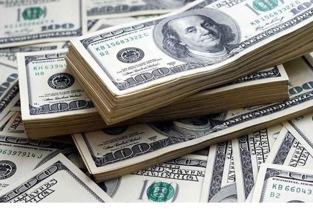 62-102412-dollar-price-today-egypt-wednesday-25-2024-3