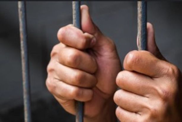 Screenshot 2024-11-23 094521