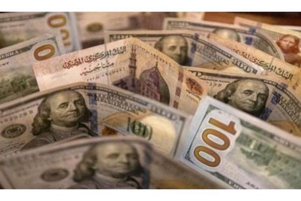 147-130105-dollar-price-egypt-thursday-december-18-2025-5