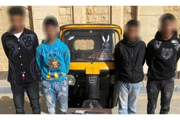 8686492210120251220020743743