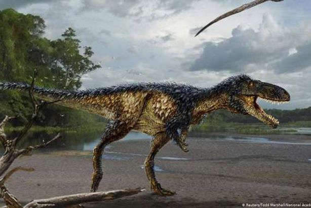 فصيلة جديدة من الديناصورات 

