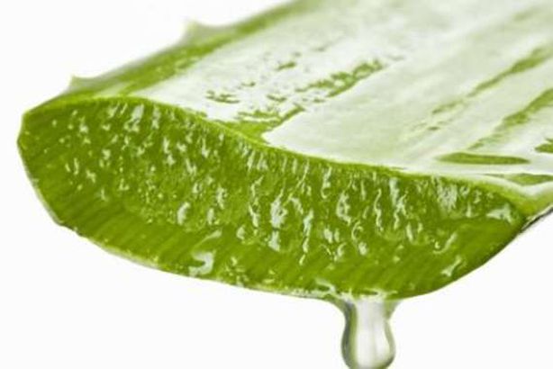 هلام الصبار
