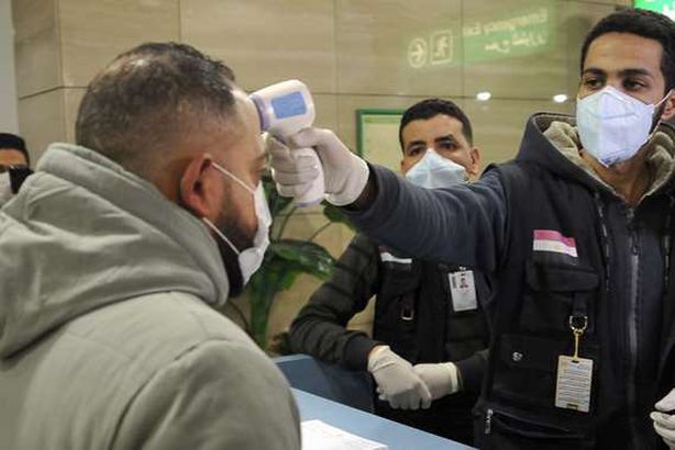 مصاب بكورونا في  مصر
