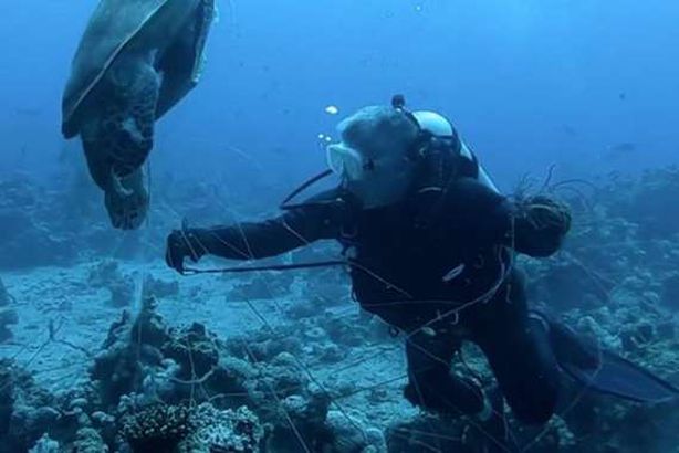 أثناء الحملة