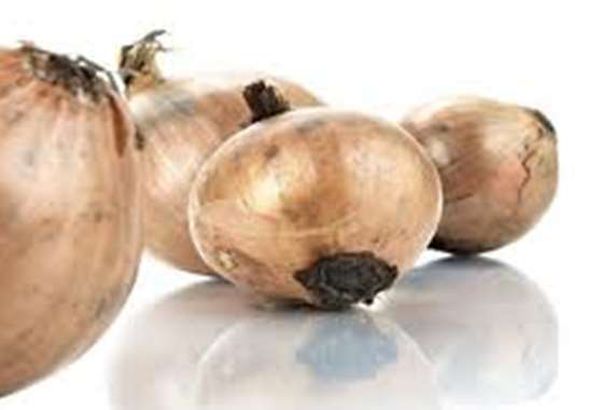 البصل يتسبب في مرض قاتل..  في هذه الحالة