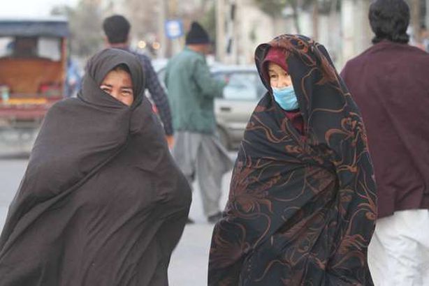 فيروس كورونا
