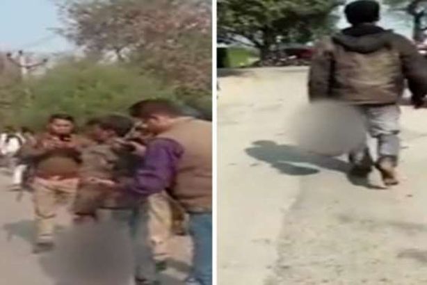 مقطع من الفيديو