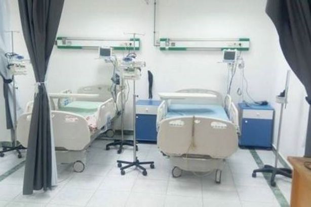 13165190721528242615