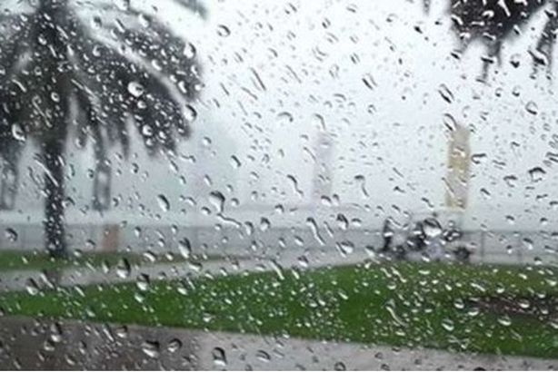 17292948051581241343