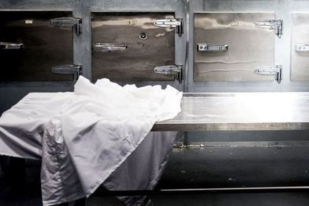 _102309742_9bcf2720-6f98-4959-935a-63c9e534c098