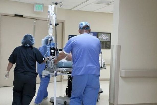 _117867527_fb4f7452-040b-455a-a8c6-4c0c6c6dc07f