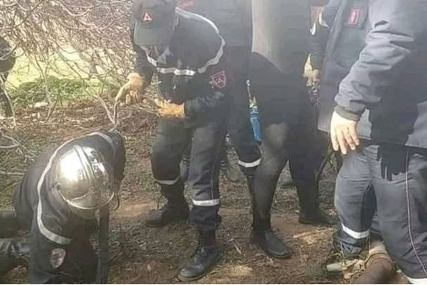 620ca64242360430da1dc548