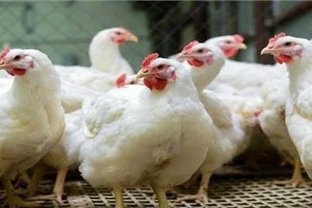 2023_2_6_12_42_7_253