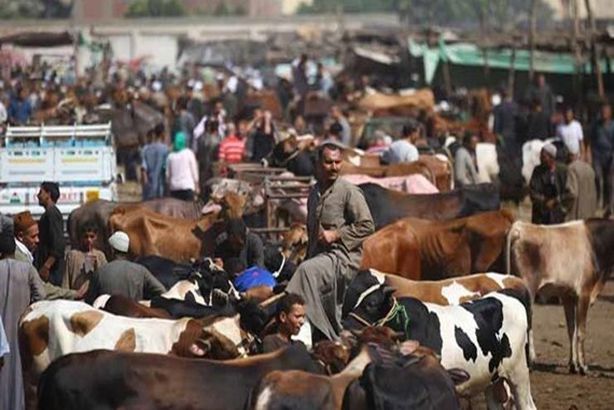 2020_8_24_14_56_52_482