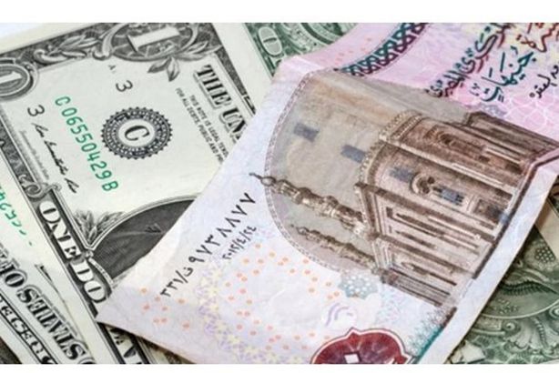 147-100158-dollar-price-egypt-wednesday-february-19-2025_700x400