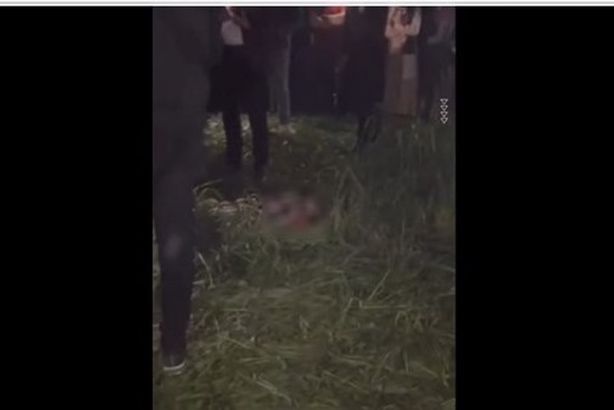 728752937161202602191249164916