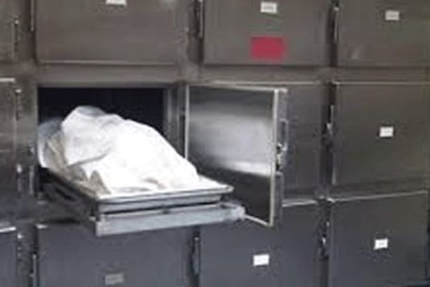 714558021120260223090553553