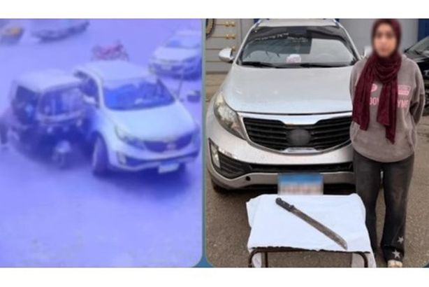 7287529371612026022612030939