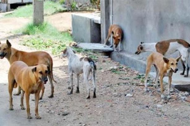 19_2023-638159742983020338-302