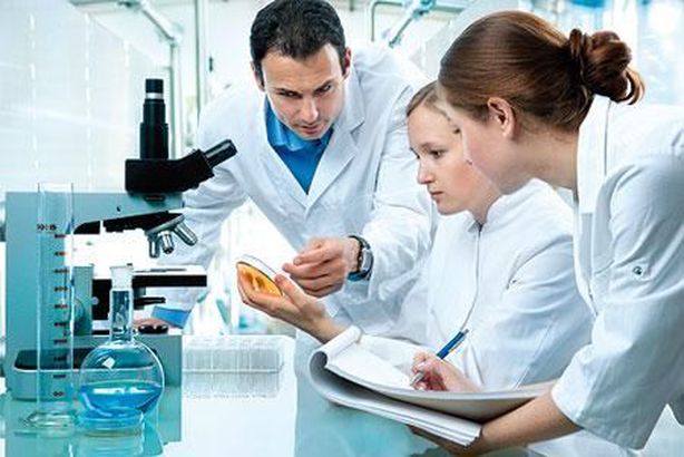 فريق بحثي يتغلب على مرض السرطان بجزيئات الذهب