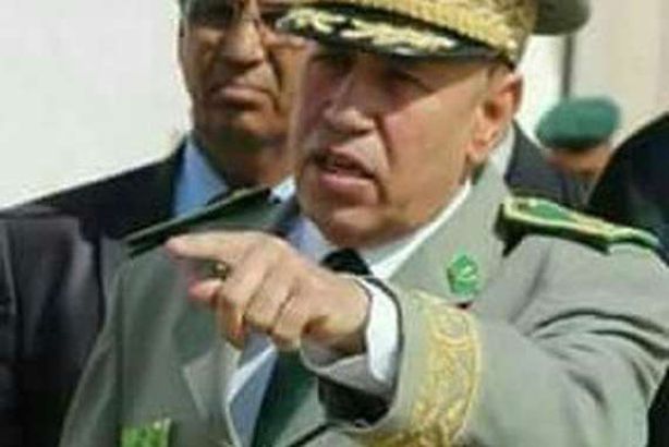 محمد ولد الشيخ أحمد ولد الغزواني